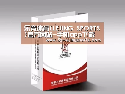 项目名称十三